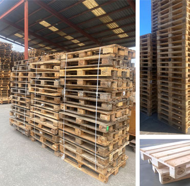 Mantenipal SL crea uno de los primeros SIRAP de palets de madera - Real Decreto 1055/2022